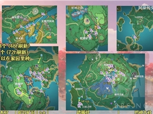 原神鸣草路线采集路线图 59个鸣草采集路线攻略