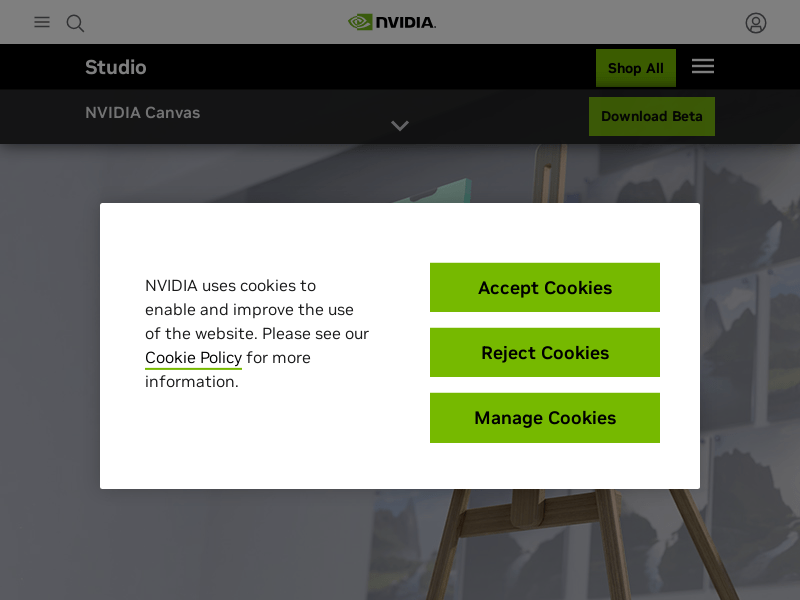 NVIDIA Canvas