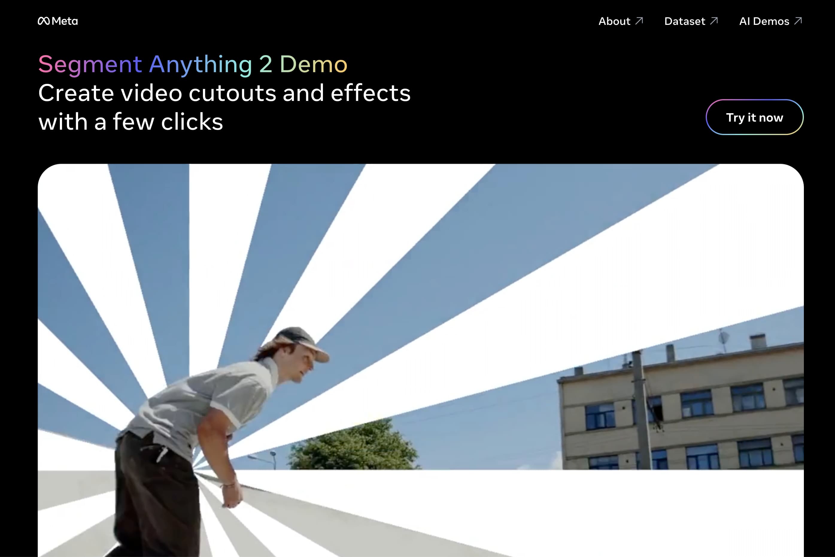 Segment Anything 2 Demo