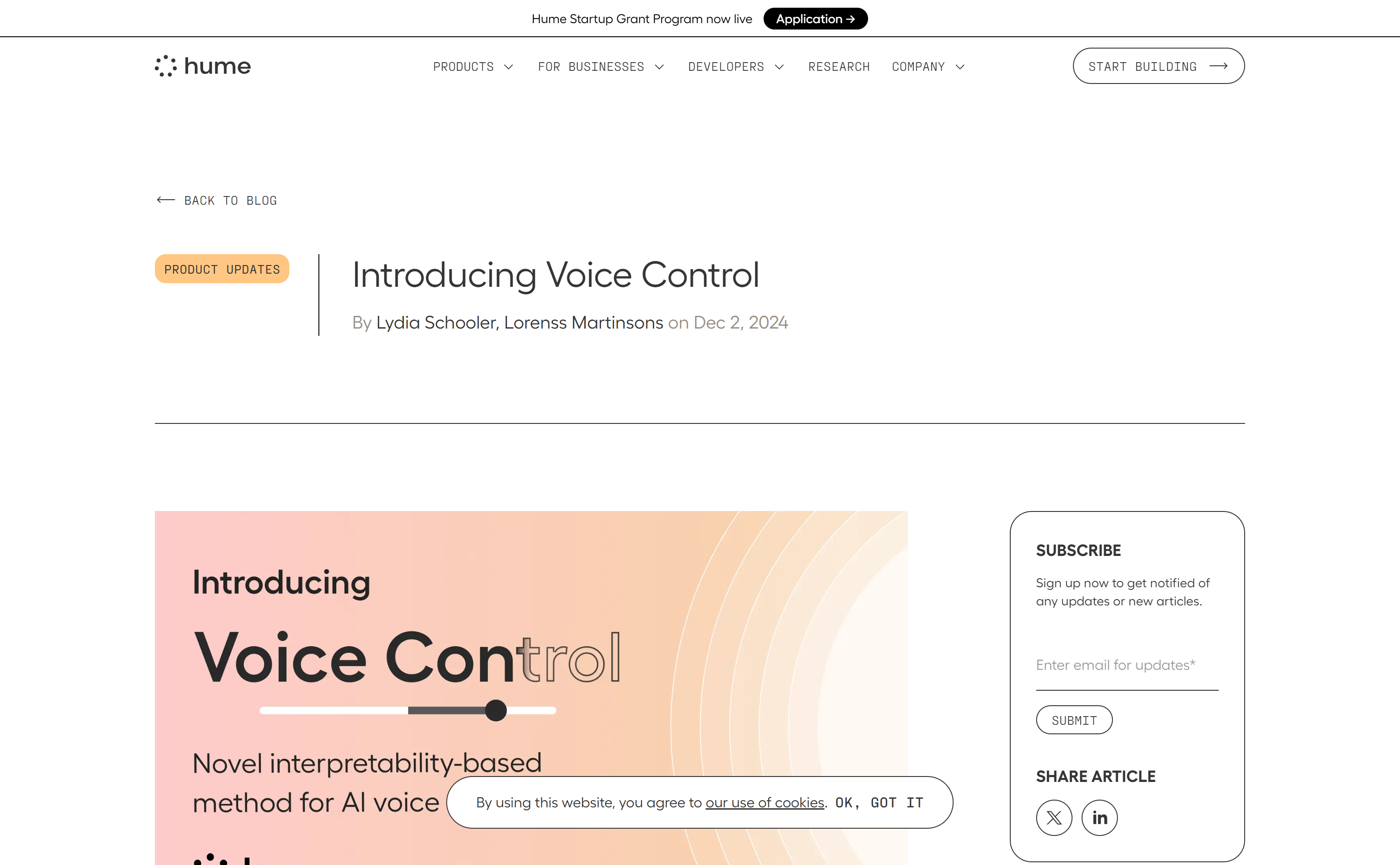 Voice Control