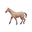 Horse Browser